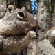 Illustration for article titled Holy Hell, the Pictures the iPhone 4S Can Take Are Insane